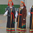 Краснояружские артисты выступят с выездными концертами на избирательных участках - Сетевое издание Наша жизнь