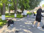 Субботники продолжают объединять жителей нашего округа.